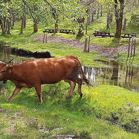 Quinta De Reiriz Moncao