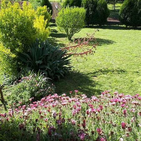 Quinta De Reiriz Apartmán Monção