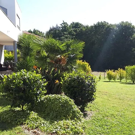 Quinta De Reiriz Apartment