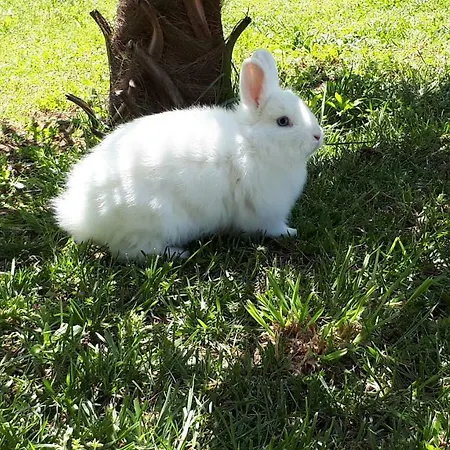 Quinta De Reiriz * Monção