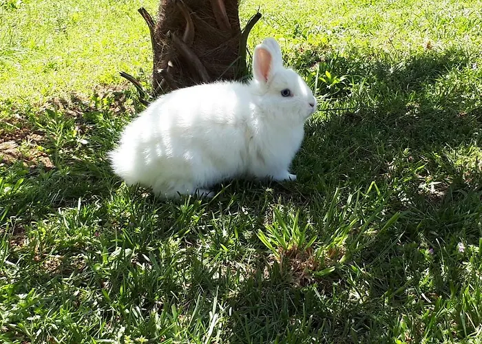 Quinta De Reiriz * Monção